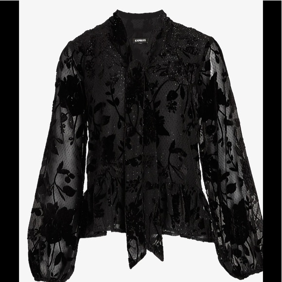 Express Chic Silhouette Velvet Floral Design Tie Neck and Sheer Balloon Sleeves - Picture 1 of 6